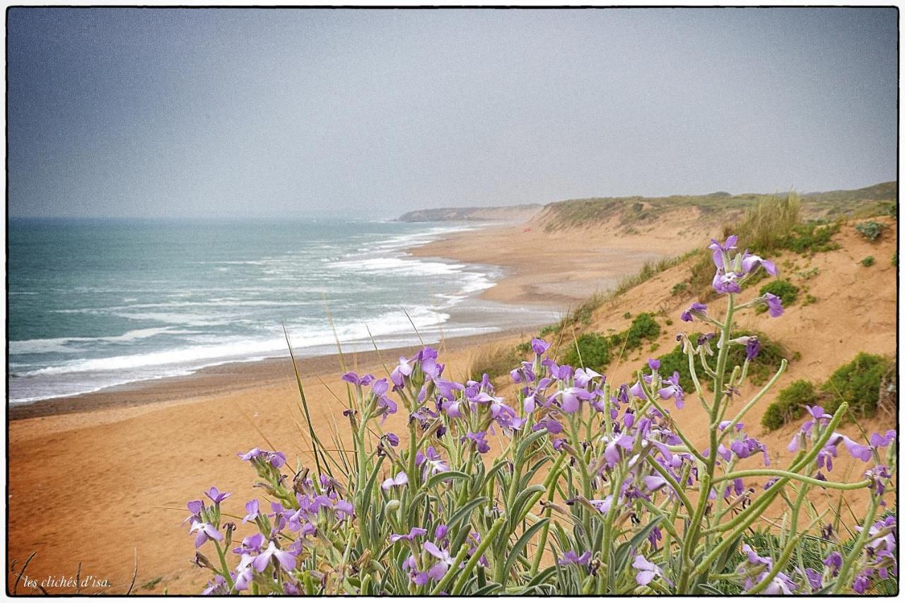 La Calypsette - Face Grande Plage Des Sables D'Olonne レ・サ​​ーブル・ドロンヌ エクステリア 写真