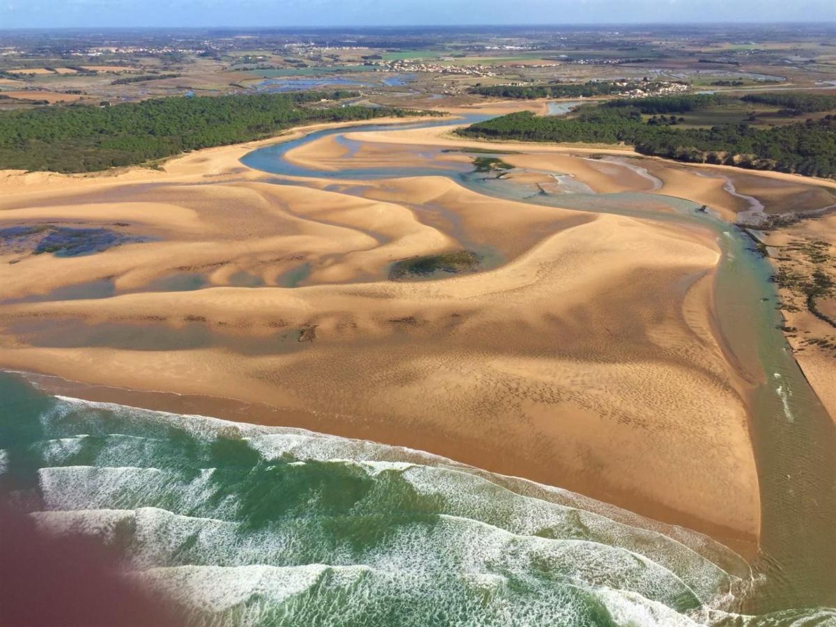 La Calypsette - Face Grande Plage Des Sables D'Olonne レ・サ​​ーブル・ドロンヌ エクステリア 写真
