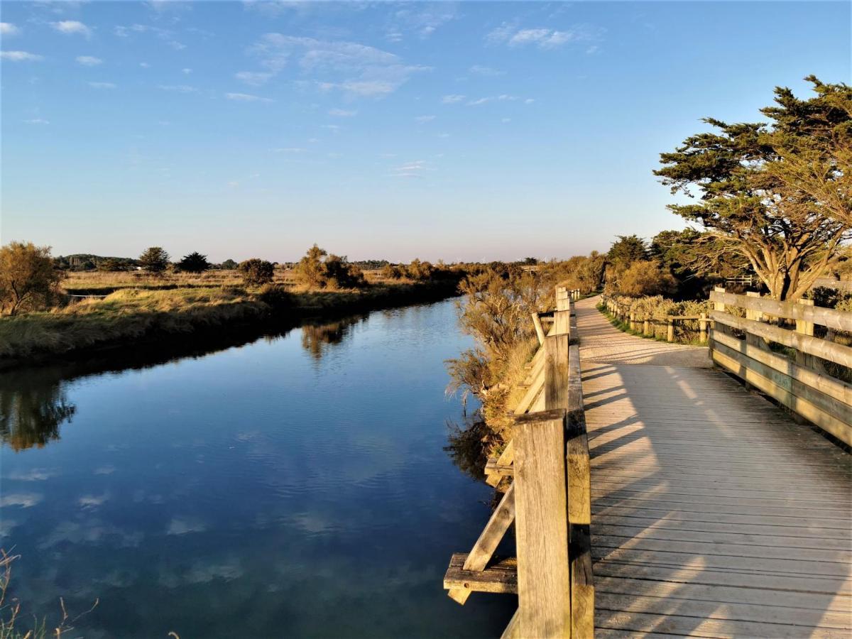 La Calypsette - Face Grande Plage Des Sables D'Olonne レ・サ​​ーブル・ドロンヌ エクステリア 写真